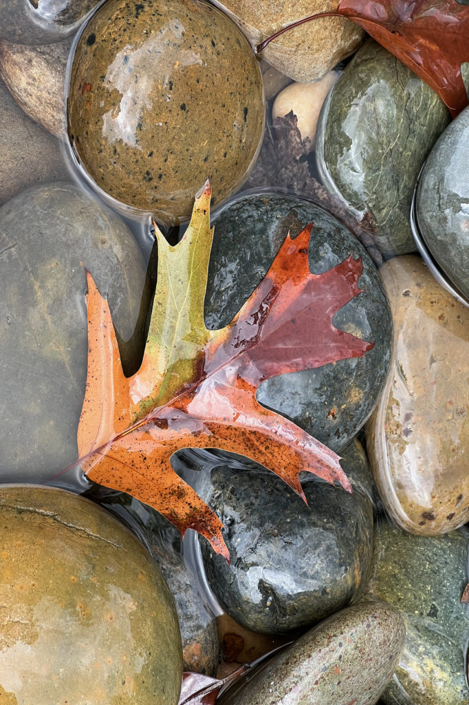Leaves and rocks in a water fountain.