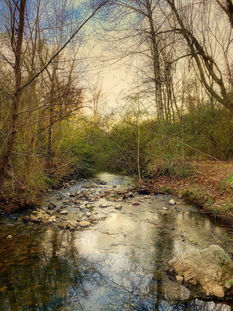 Photo Art: Mill Creek, a small stream, flows between two suburban neighborhoods, in Madison, Alabama.