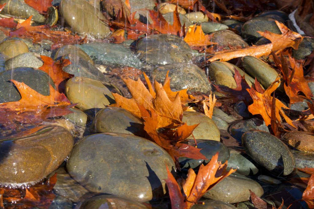 Leaves in a water fountain at Frasier Park in Decatur, Alabama.