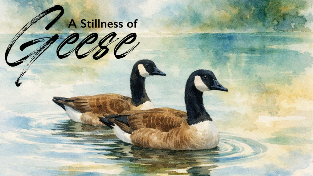 "A Stillness of Geese" is an original composition by Steven H. Gordon